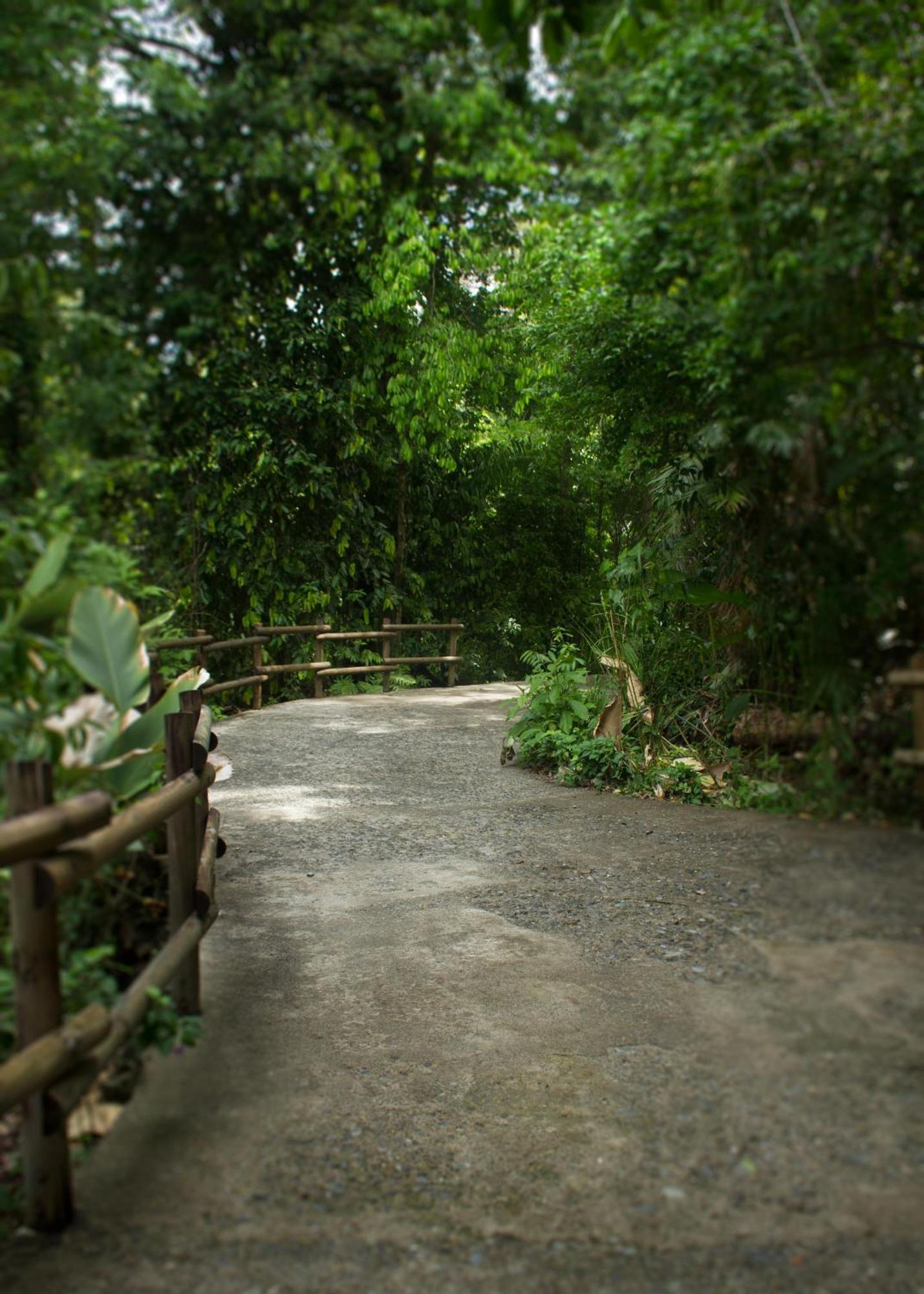 Arenas Del Mar Beachfront & Rainforest Resort Member Of The Cayuga Collection Manuel Antonio Zewnętrze zdjęcie