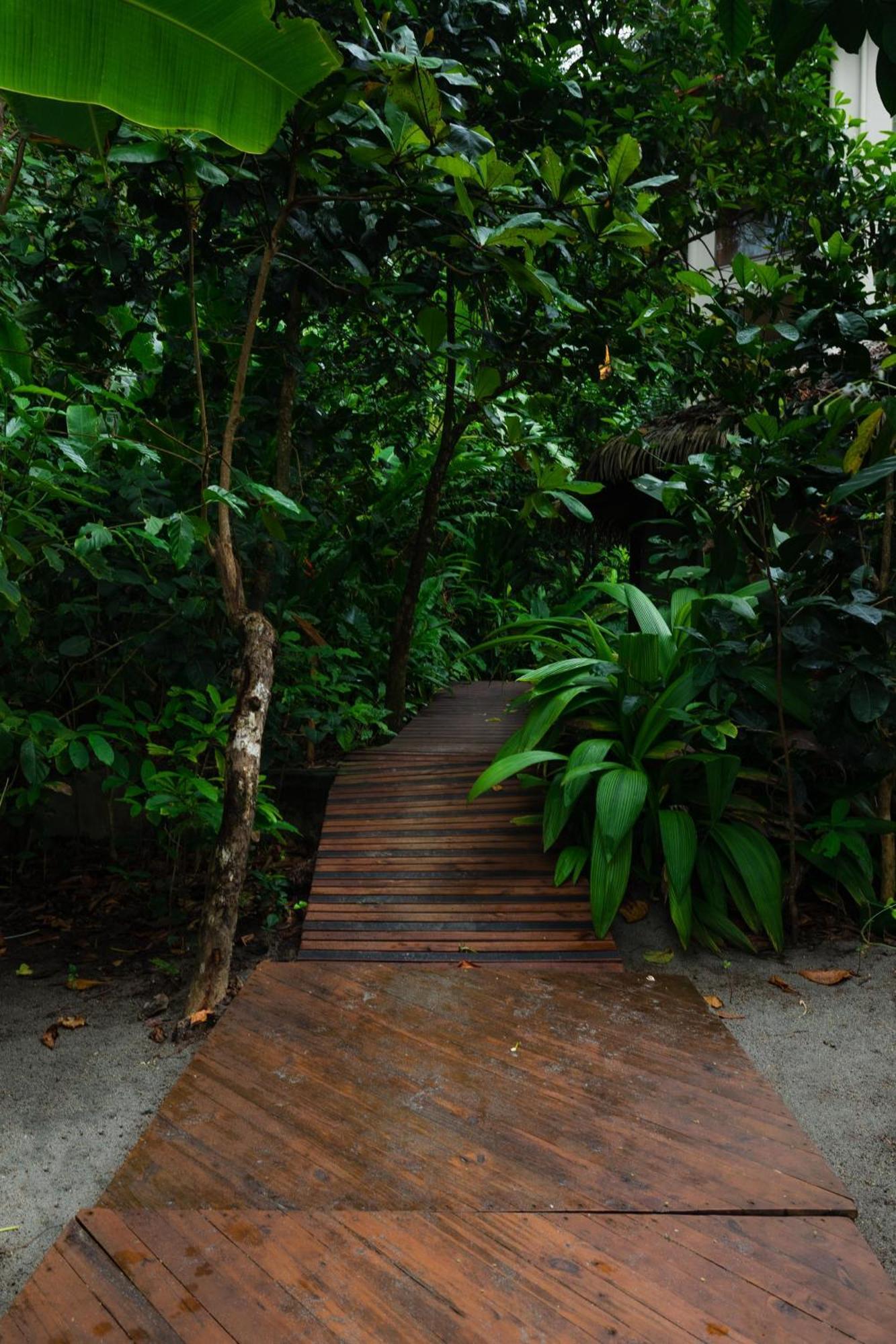 Arenas Del Mar Beachfront & Rainforest Resort Member Of The Cayuga Collection Manuel Antonio Zewnętrze zdjęcie